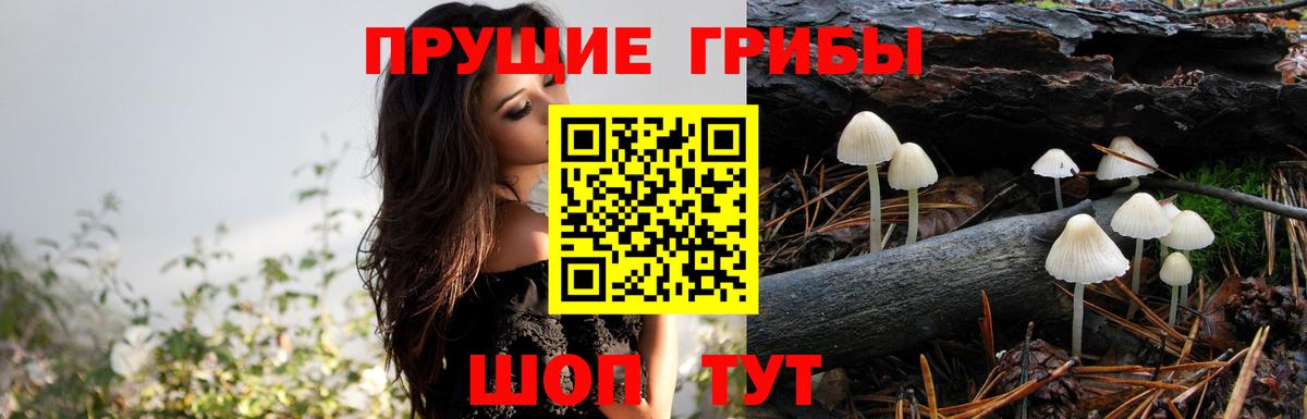 Галлюциногенные грибы мицелий  Вход с VPN  Пугачёв 